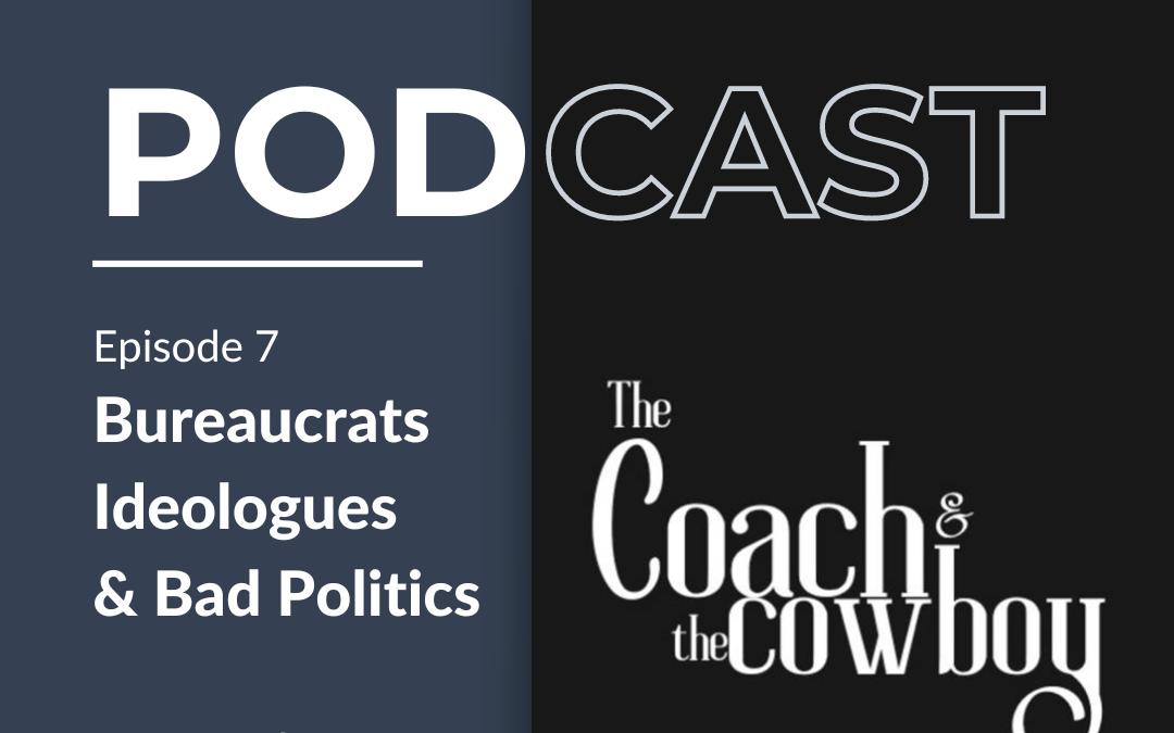 Bureaucrats, Ideologues and Bad Politics